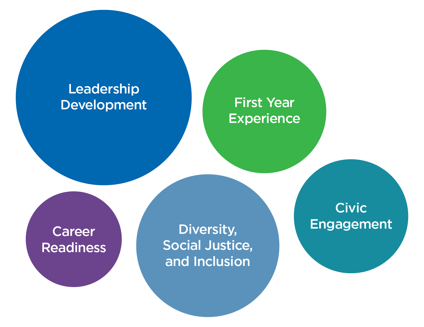 Leadership Development, First Year Experiences, Career Readiness, Civic Engagement, Diversity, Social Justice, and Inclusion
